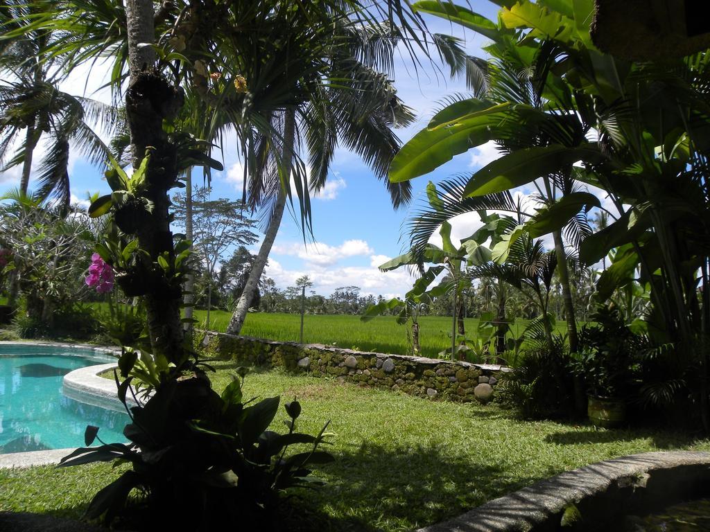 Saudara Home Ubud Εξωτερικό φωτογραφία