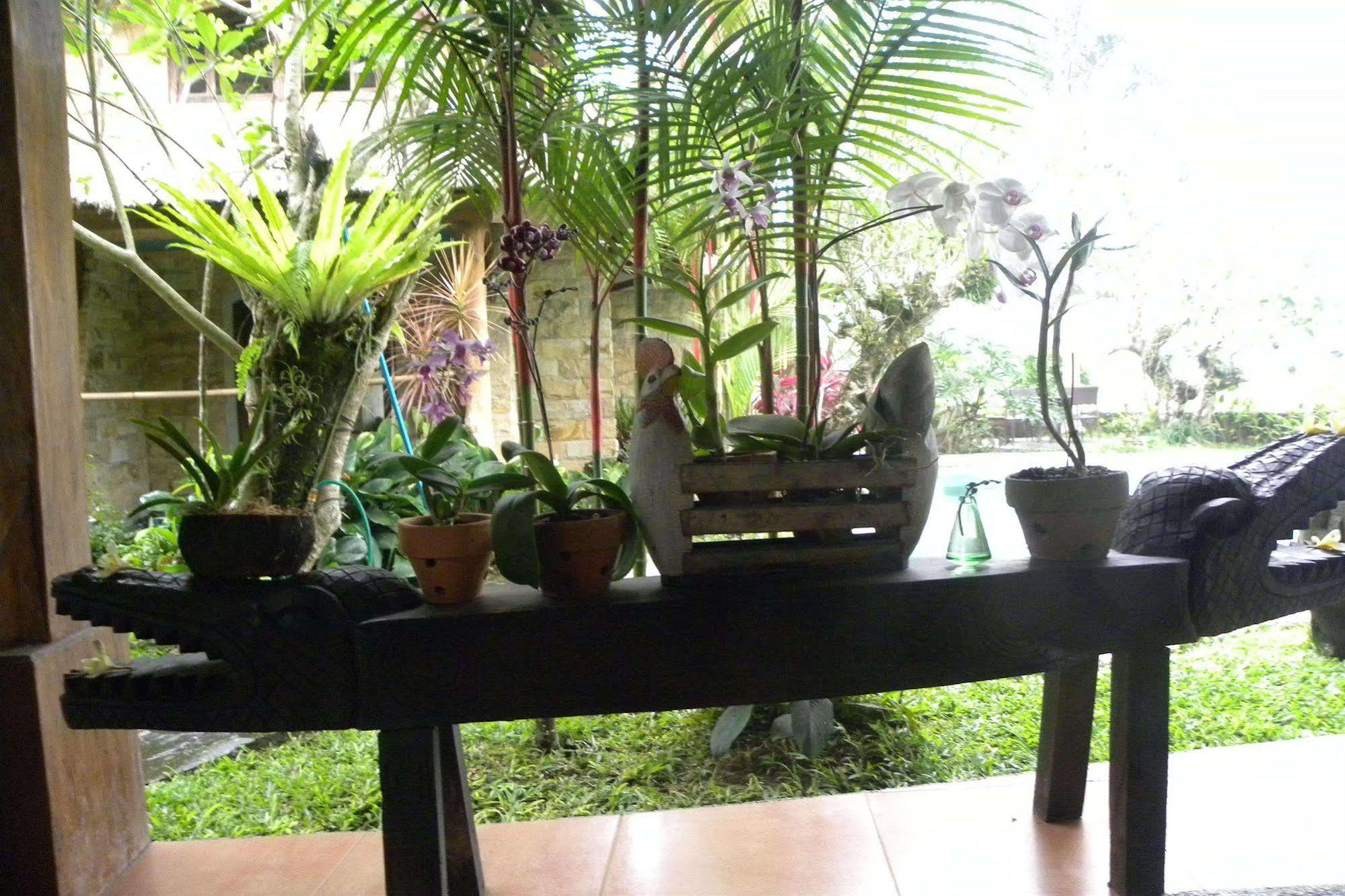 Saudara Home Ubud Εξωτερικό φωτογραφία