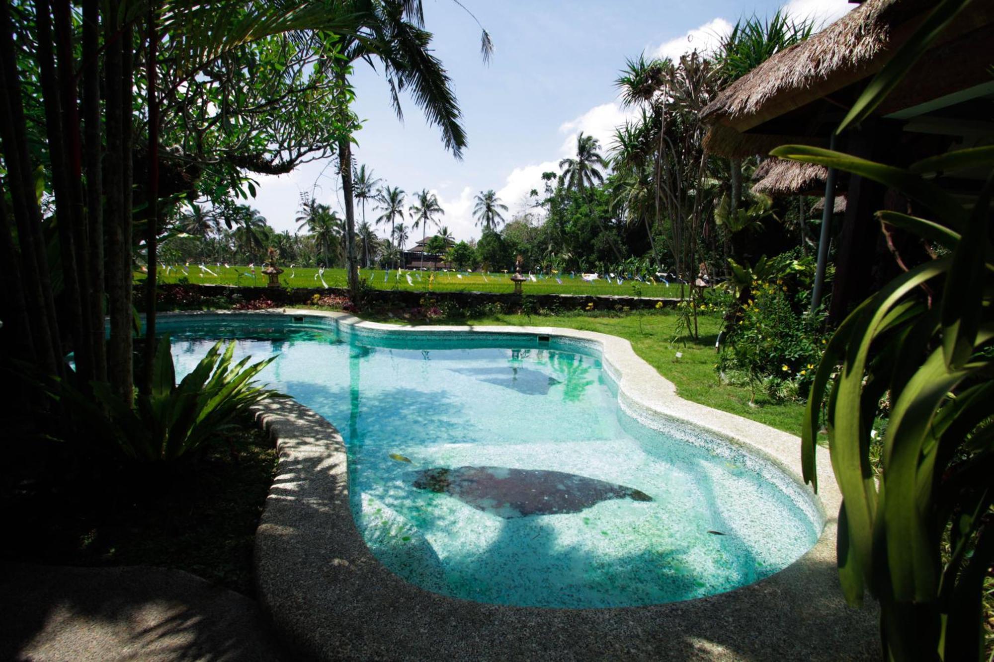 Saudara Home Ubud Εξωτερικό φωτογραφία
